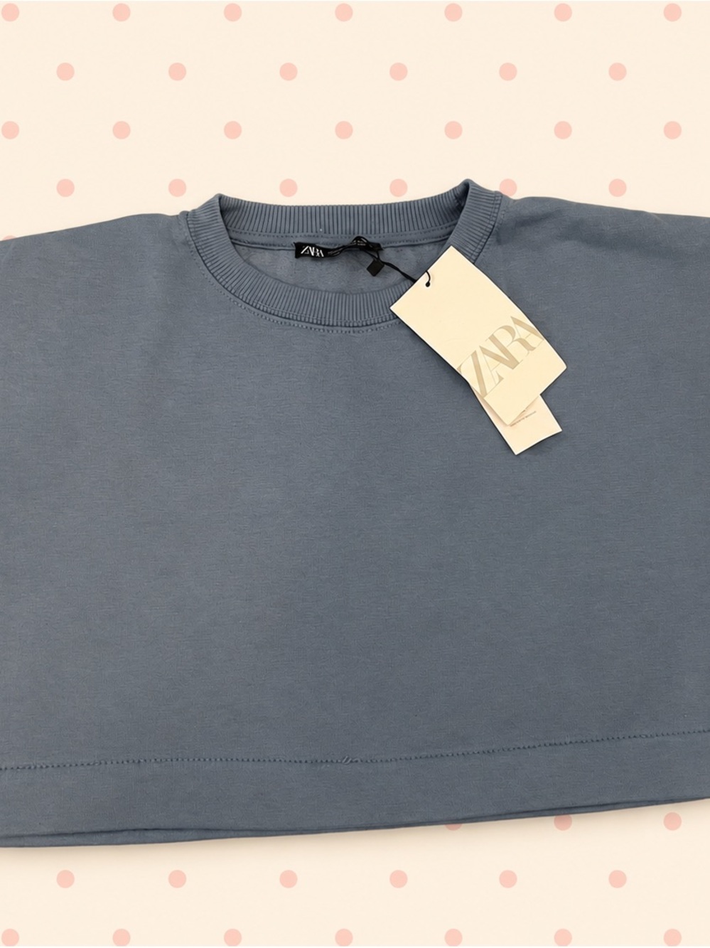 ZARA Dusty Blue Crewneck Top